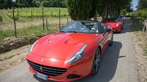 Langhe / Barolo / Alba - Tour in Ferrari