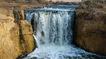Private day tour El Fayoum ,and Valley of Whales with safari 