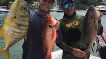 6-Hour High Sea Fishing in Gulf of Panama