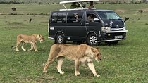 Amazing 9 Days Kenya and Tanzania Budget Safari