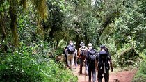 5 Days Mt.Kenya Climbing Chogoria gate down sirimon route