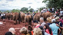 Nairobi City Safari: Park, Elephant orphanage, Giraffe center