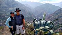 Hiking Tour in the Andes Mountains - Half Day Trip from Santiago