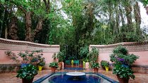 Majical Majorelle Garden and Camel Ride in Palmeraie of Marrakech