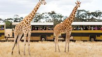 Werribee Open Range Zoo General Admission Ticket