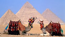 Enjoy private guided day tour to Cairo from hurghada .special rate Private Car