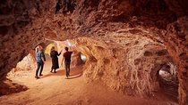 Adelaide to Coober Pedy 7-Day Small Group 4WD Eco Safari