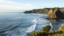 West Coast Discovery - Piha Beach or Muriwai Beach from Auckland
