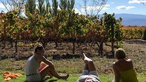 Rioja Wineries and Laguardia Tour with Picnic from San Sebastian
