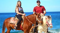 Cabo Desert Off-Road & Beach Horseback Combo and Tequila Tasting