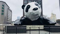 Chengdu All Panda Experience Private Day Tour