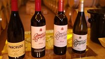 Rioja winery hopping tour from San Sebastian