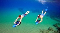 Sea Scooter Snorkeling Guided Tour - Turtle Town