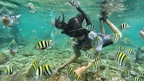 Bali Snorkeling at Blue Lagoon & Tanjung Jepun Beach: All-Inclusive