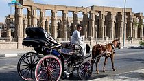 Luxor City Tour By Horse Carriage in Egypt
