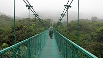 Rain Forest Monteverde,Hanging Bridges, Sloths,Birds Watching