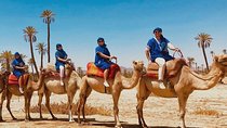 Balade en chameau à Marrakech