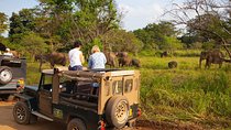 Private Wildlife Safari to Hurulu Eco Park
