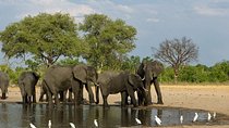 Hwange National Park 3 Days Package
