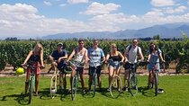 Tour autoguiado en bicicleta por Luján de Cuyo (Mendoza)