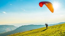 Private Trip from Geneva to the Swiss Capital - Bern & Paragliding in Interlaken