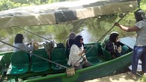Shore Excursions to Mangrove Wetland Colombo.