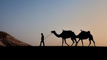  Sun set camel ride in Agafay desert