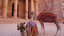 2 Day 1 Night Petra & Wadi Rum Shore Excursion (ON Petra)