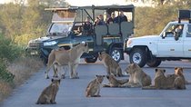 All Inclusive 3 Day Kruger Safari Adventure From Johannesburg
