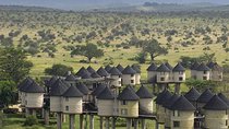 4-DAY Exciting Tsavo/Amboseli National Park/Mt. Kilimanjaro Safari
