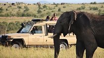 3 Days Maasai Mara Adventure