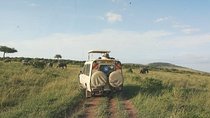 7 Days 6 Nights Aberdares / Lake Nakuru / Masai Mara / Lake Naivasha / Amboseli