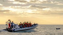 Small-group Whale Watching in the Midnight Sun from Reykjavík