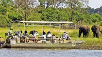 Chobe Day Trip In Botswana