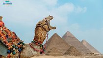 Cairo and Luxor Tours