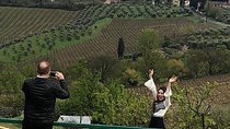 Montalcino and Pienza Tuscany Wine&Cheese Fullday from Florence