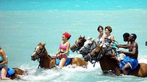 Ocho Rios Shore Excursion: Blue Hole, Tubing, Horseback Riding 