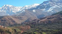 Ourika Waterfalls 1 Day Private Trip through the Atlas Mountains from Marrakech