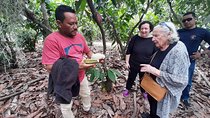 Half-day Chocolate Workshop - Cacao Farm