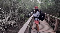 Full day to Ecological Reserve Churute Mangrove