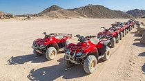 Dune Buggy Safari, Camel Ride and BBQ Dinner from Sharm el-Sheikh