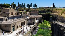 Pompeii and Herculaneum shared shore excursion 