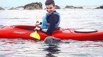 Dublin Bay Seal Kayaking Safari at Dalkey