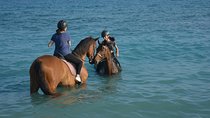 Horse riding on the Beach, Rhodes