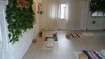 [SUN YOGA] Daily Yoga