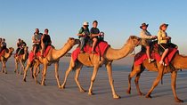 7 Hour Quad Bike Safari, Camel Ride, BBQ Dinner & Show