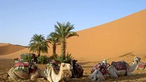 8 Days Tour Nomad Adventure Desert Camel Trekking From Marrakech Merzouga