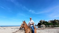 Los Naranjos Beach Horseback Riding Tayrona Park.