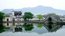 Wuzhen Water Town and West Lake Day Tour in Hangzhou