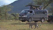 4 Days MaasaiMara-Nakuru Group joining Safari